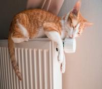 картинка новости